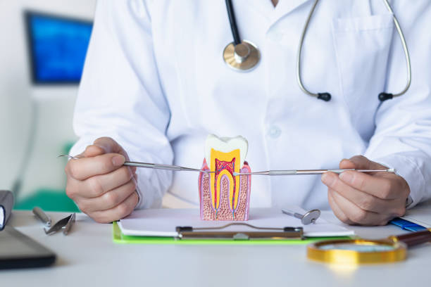 Best Knocked-Out Tooth (Avulsed Tooth) Treatment in Coal Fork, WV